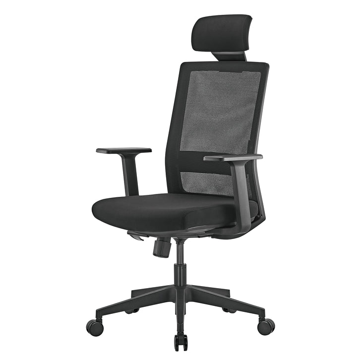Ergo Office Premium ergonomischer Bürostuhl mit hoher Rückenlehne, max. 150 kg, ER-425