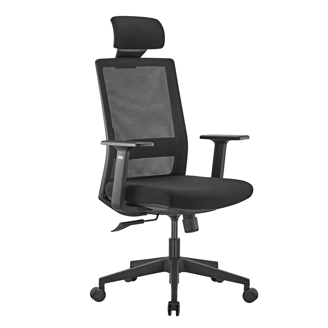 Ergo Office Premium ergonomischer Bürostuhl mit hoher Rückenlehne, max. 150 kg, ER-425