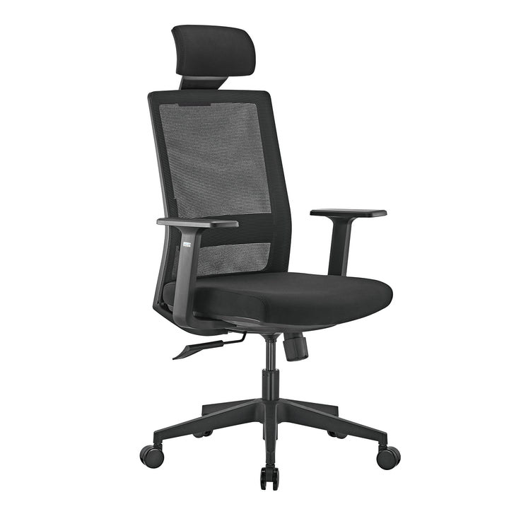 Ergo Office Premium ergonomischer Bürostuhl mit hoher Rückenlehne, max. 150 kg, ER-425