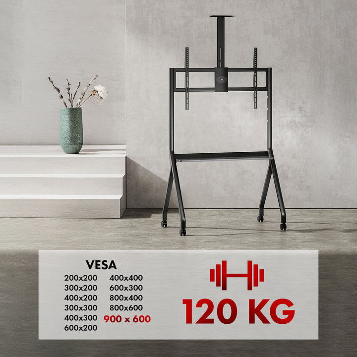 Maclean TV stand / cart, camera shelf, on casters, 55-100", max load 120kg/10kg shelf, max. VESA 900x600, black, MC-114 B