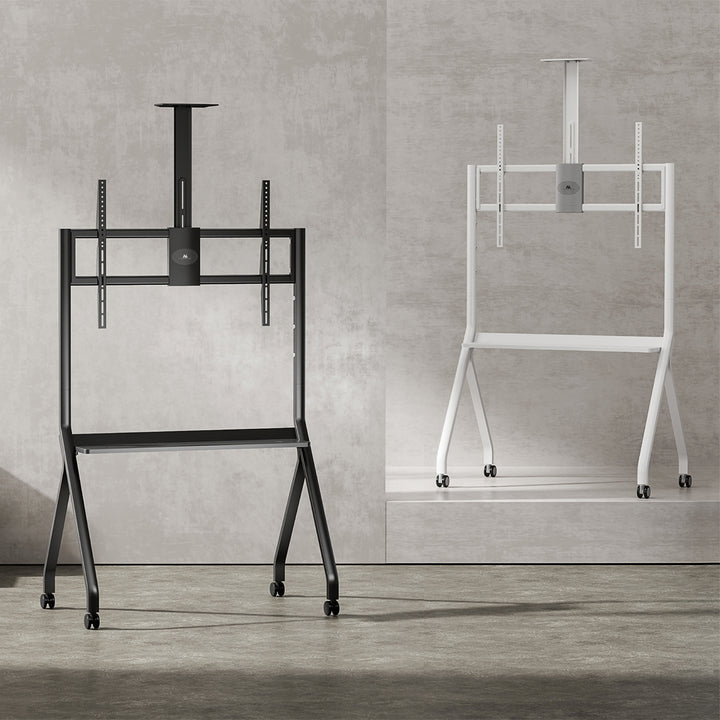 Maclean TV stand / cart, camera shelf, on casters, 55-100", max load 120kg/10kg shelf, max. VESA 900x600, black, MC-114 B